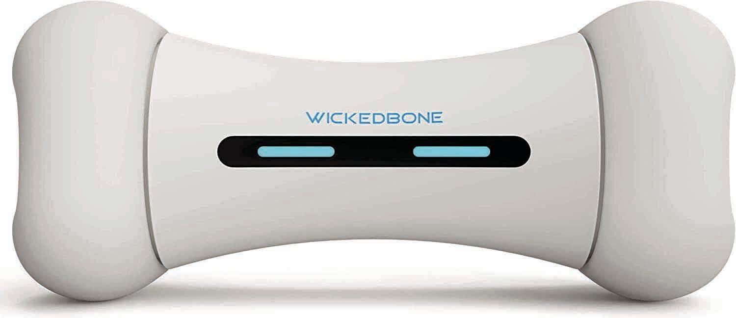 _Wickedbone_CMYK.jpg